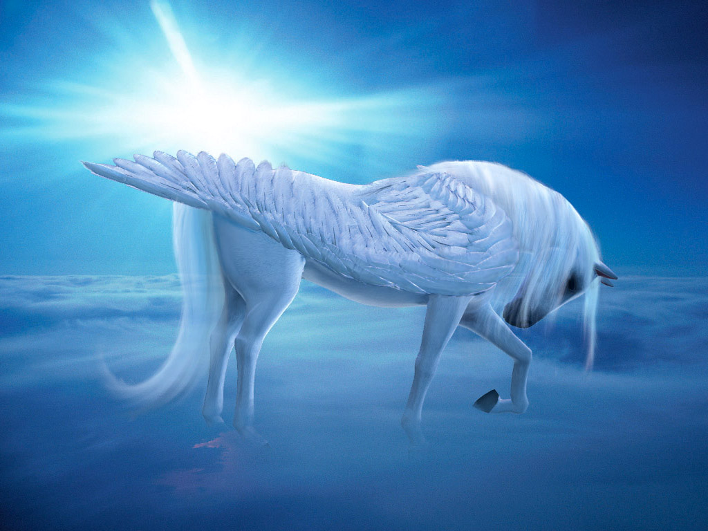 Pegasus-in-Sunshine-fantasy-30930891-1024-768.jpg