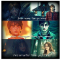 Ron, Harry, and Hermione - harry-potter photo