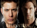 Supernatural - supernatural wallpaper