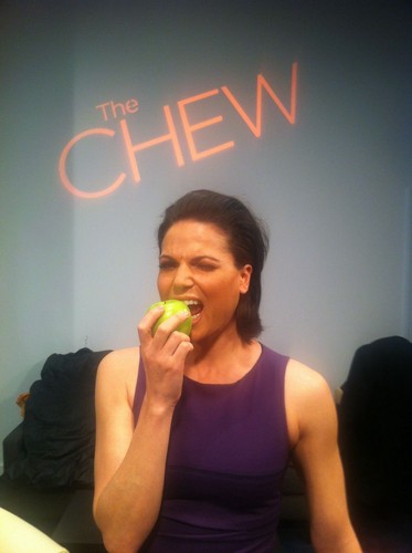  The Chew