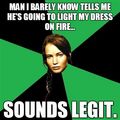 The Hunger Games Funnies! - the-hunger-games fan art