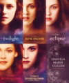 Twilight Forever - twilight-series fan art
