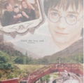 Until the Very End - harry-potter photo