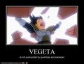 Vegeta is mad! - anime photo