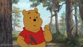 Winnie The Pooh 2011 - disney photo
