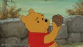 Winnie The Pooh 2011 - disney photo