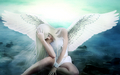 angels - angels wallpaper