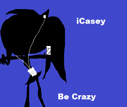  iCasey