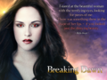 the twilight saga: breaking dawn - edward & bella ♥ - twilight-series photo