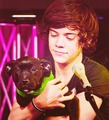 whos cuter? - one-direction photo