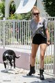 02/06 Taking A Walk With Her Dog In Hollywood - miley-cyrus photo