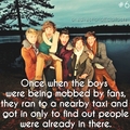 1D's Facts♥  - one-direction photo
