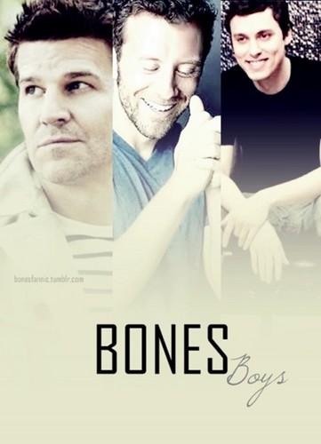  BONES（ボーンズ）-骨は語る- <3