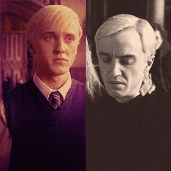 Draco Malfoy's Birthday