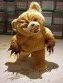Evil Bear - random photo