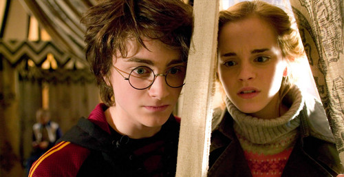  Harry and Hermione (Goblet of Fire)