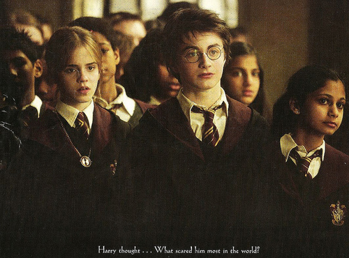 harry dan hermione
