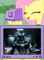 How Fluttershy spends Saturday nights - my-little-pony-friendship-is-magic photo