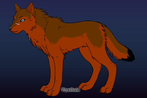  Kaiy (wolf) from deviantart