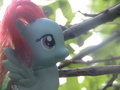 Nature Ponies - my-little-pony-friendship-is-magic photo