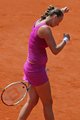 Petra Kvitova belly 2012 - tennis photo
