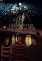 Poster Remakes - hermione-granger fan art