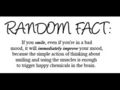 Random Fact - random photo