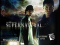supernatural - Supernatural  wallpaper
