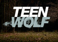 TW S2 - teen-wolf photo