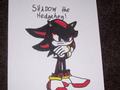 i drew this for our drawing contest!! - shadow-the-hedgehog fan art