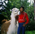 michael and his animals - michael-jackson photo