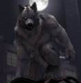 werewolves - werewolves photo