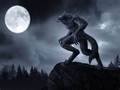 werewolves - werewolves photo