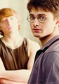  Harry Potter - harry-potter photo