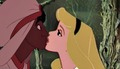 Aladdin and Aurora Crossover - disney-princess photo