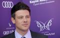 Cory & Lea At The 11th Annual Chrysalis Butterfly Ball - cory-monteith photo