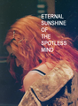 Eternal Sunshine - eternal-sunshine fan art