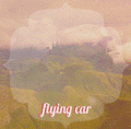 Flying Car - harry-potter photo
