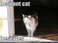 Hesitant cat - lol-cats photo