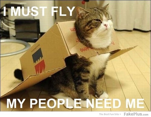 I MUST FLY!