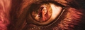 Jacob and Renesmee  - twilight-series fan art