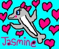 Jasmine The Dolphin - fans-of-pom photo