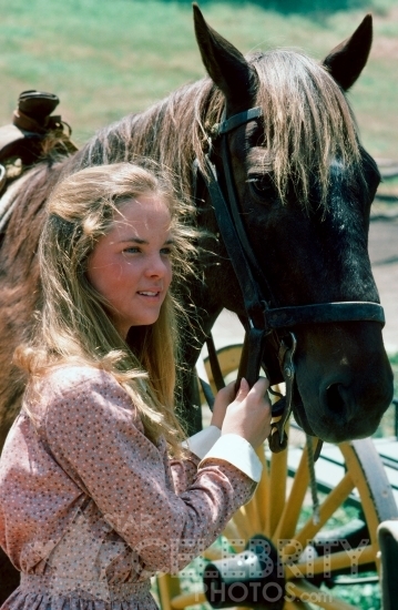 Download this Melissa Sue Anderson Little House The Prairie picture