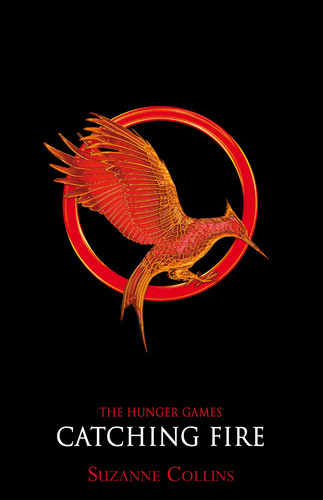 Catching Fire Promotional Poster