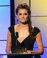 Stana Katic Close Up at the 2nd Annual Critics' Television Choice Awards on June 18, 2012 - castle photo