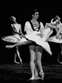 Svetlana Zakharova in Swan Lake - ballet photo