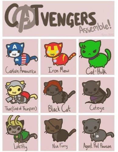  The Avengers ~