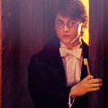 The Yule Ball - harry-potter photo