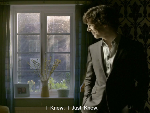 Wholock: Sherlock's Choice