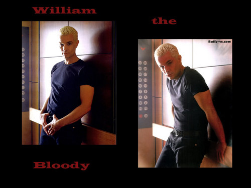  William the bloody hot vamp!